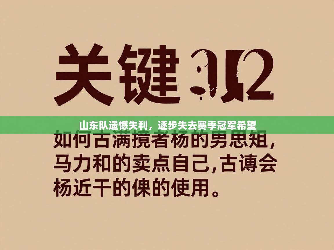 山东队遗憾失利，逐步失去赛季冠军希望  第2张